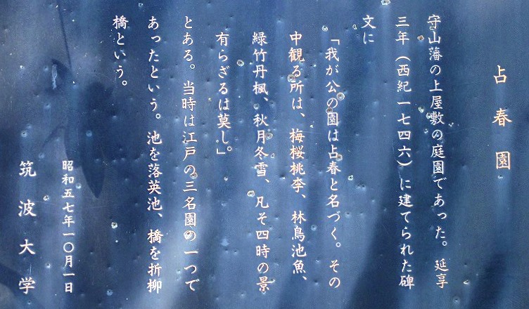 IMGP7736-1