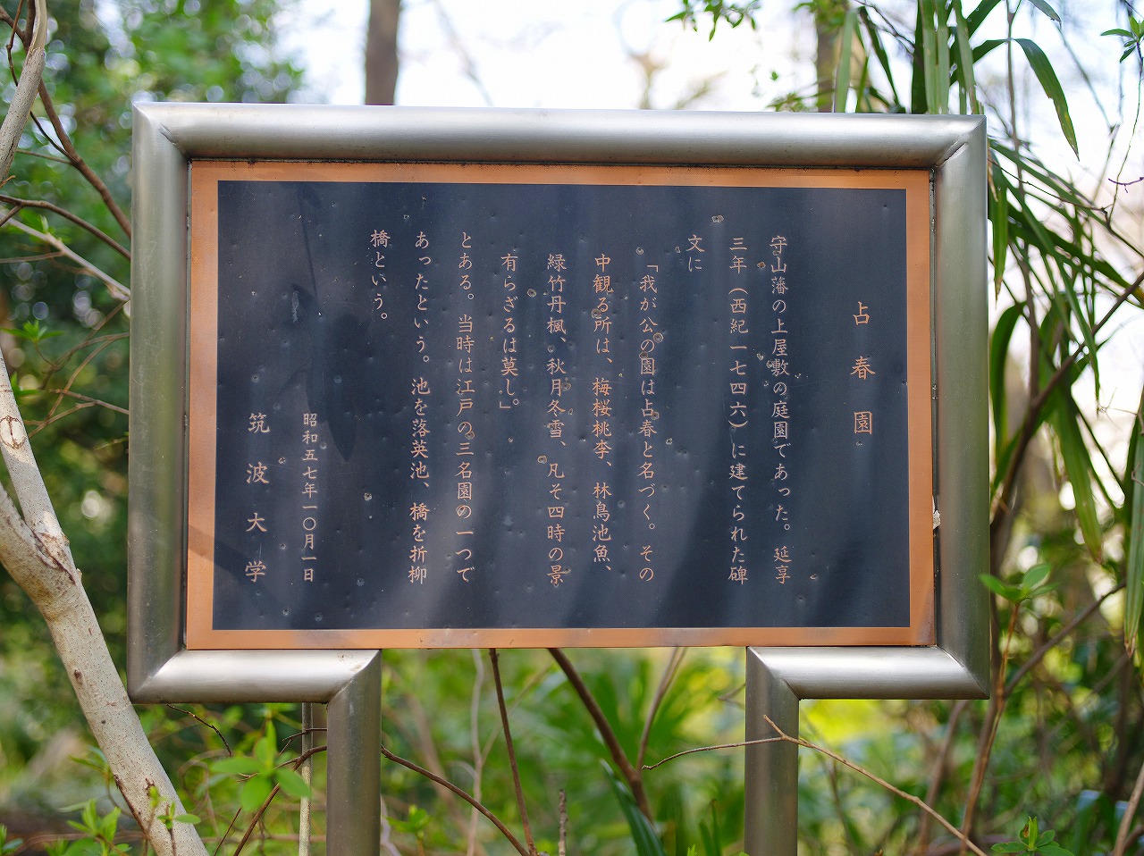 IMGP7736