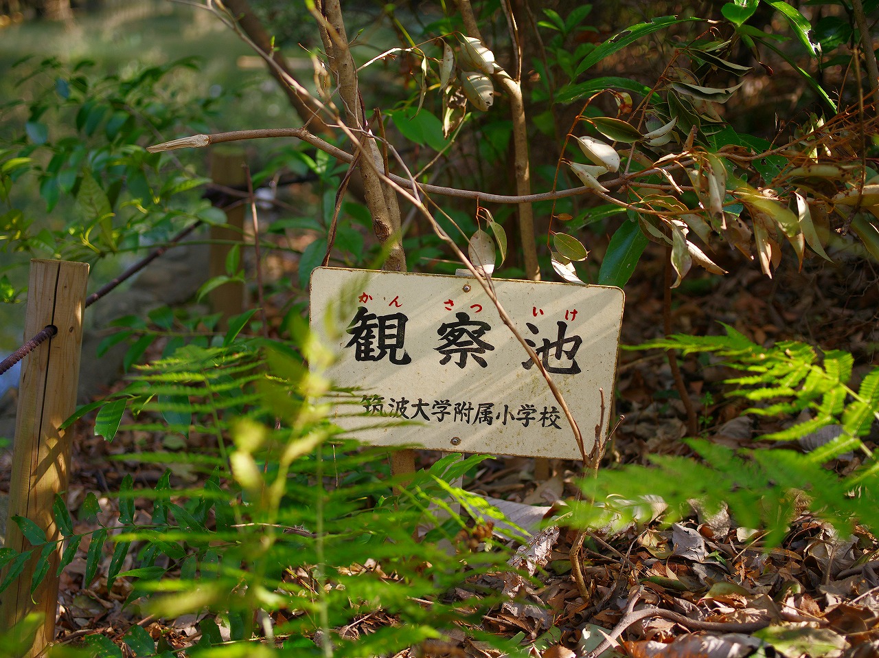 IMGP7751