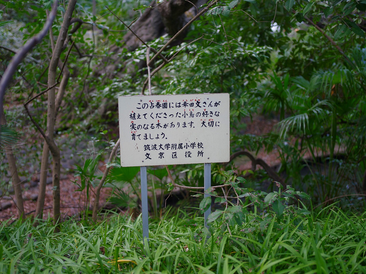 IMGP7755