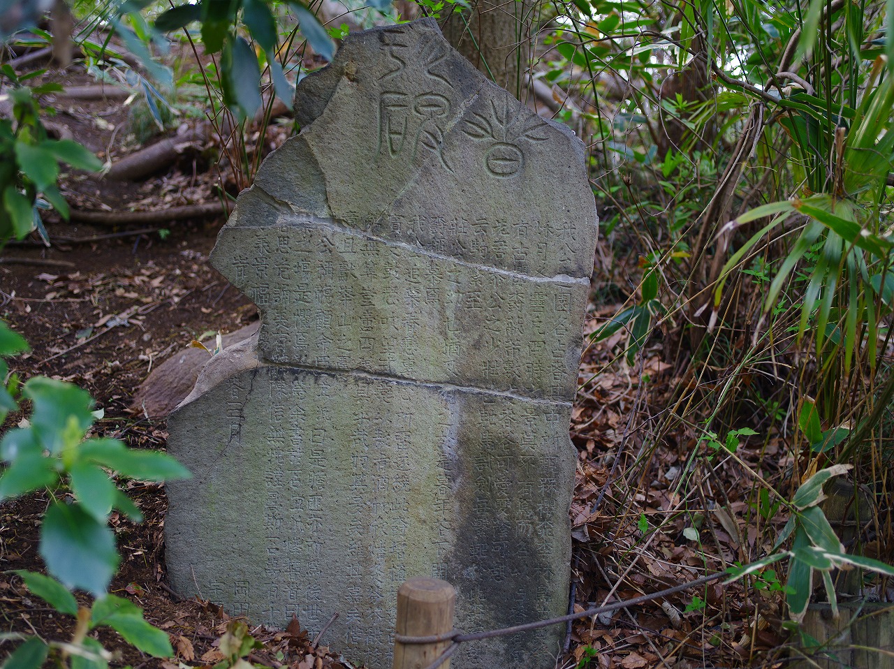 IMGP7758