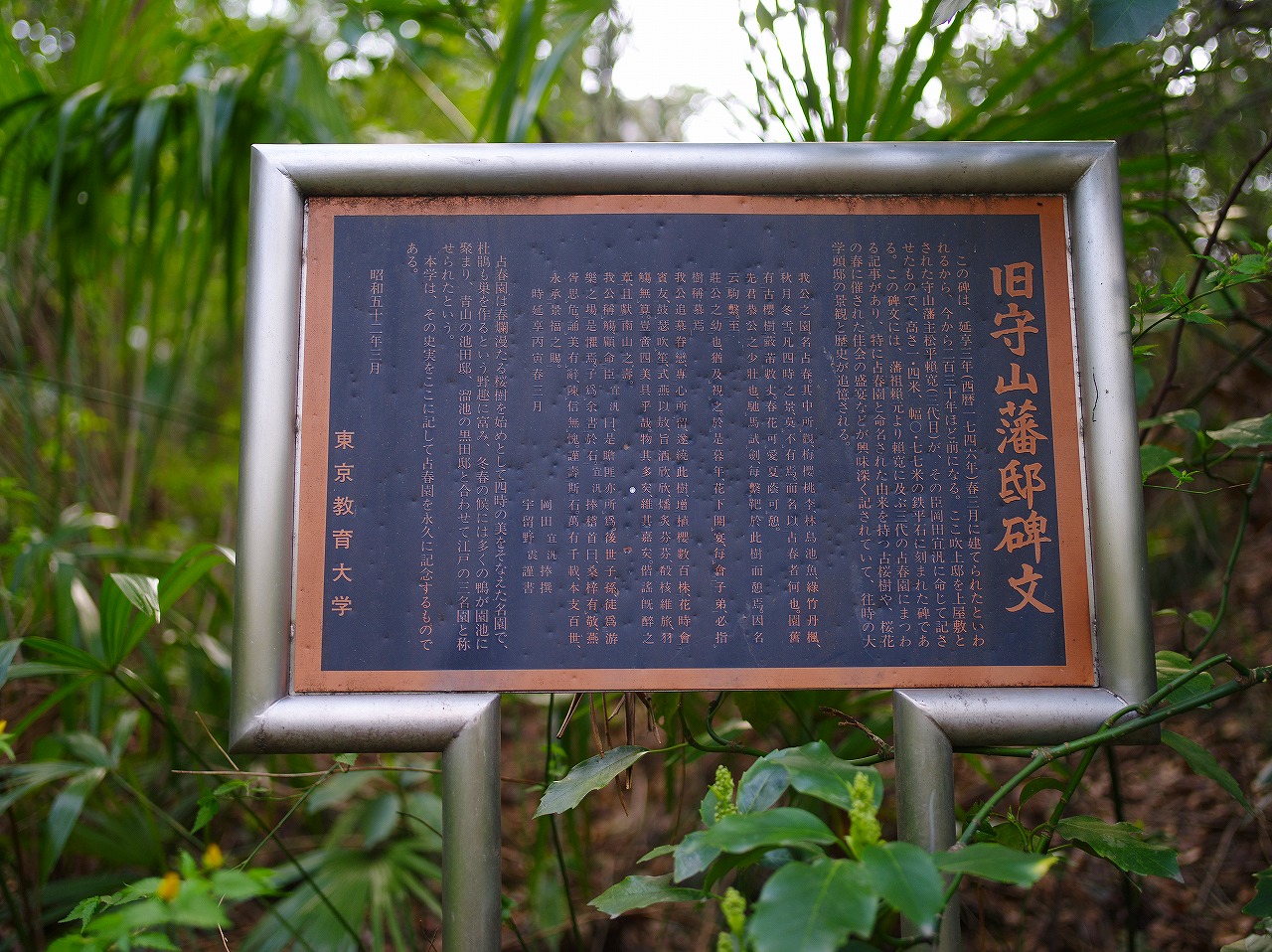 IMGP7759